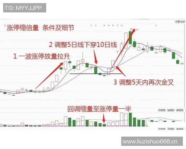 同花顺助力投资者精准决策全面解析股票市场走势与投资策略 同花顺助力投资者精准决策全面解析股票市场走势与投资策略