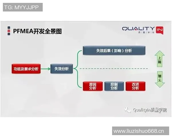 上海极限运动队状态全景解析及各队表现对比分析 上海极限运动队状态全景解析及各队表现对比分析