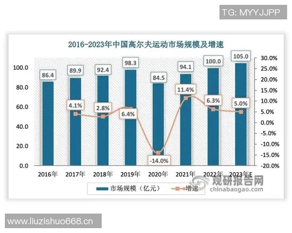 南京排球队技术对比深度解析与发展趋势探讨