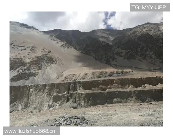 深度对话:探索黄丽在和平精英中的成长与挑战之路 深度对话:探索黄丽在和平精英中的成长与挑战之路