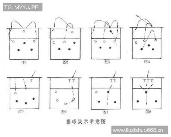 深圳排球队反击战术解析与实战应用探讨 深圳排球队反击战术解析与实战应用探讨