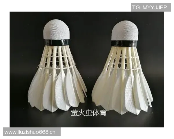 黄敏独家分享羽毛球技巧与心得助你提升球技的秘密武器 黄敏独家分享羽毛球技巧与心得助你提升球技的秘密武器