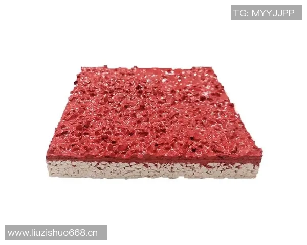 塑胶跑道的优缺点分析及其在现代体育设施中的应用前景 塑胶跑道的优缺点分析及其在现代体育设施中的应用前景